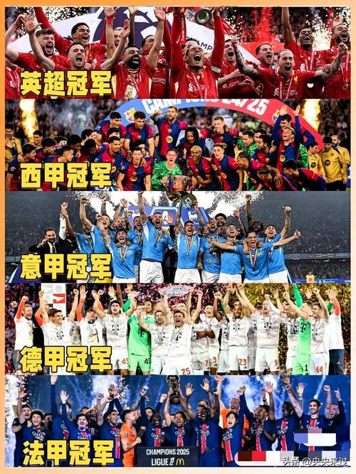 F Cup